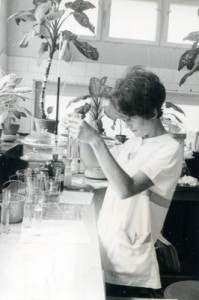 lab2 lab2