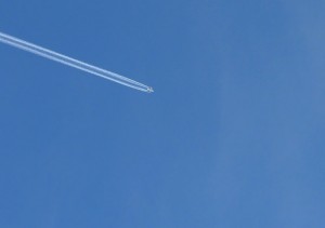 blau2