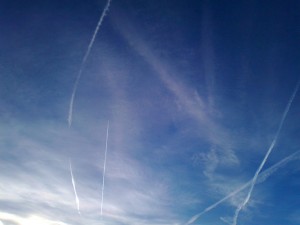 blau3